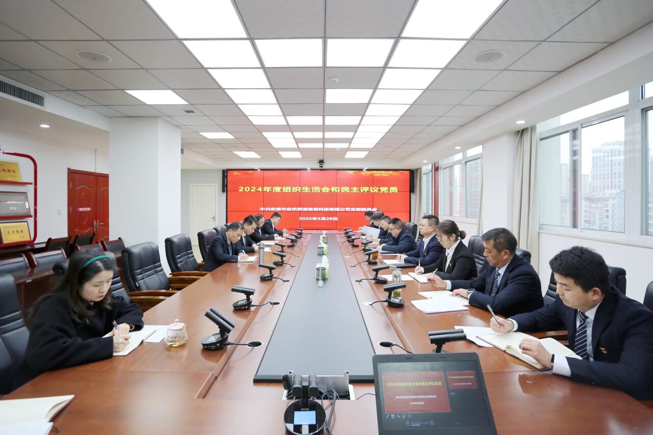 安康市自然资源信息科技有限公司党支部召开2024年度组织生活会和民主评议党员会议